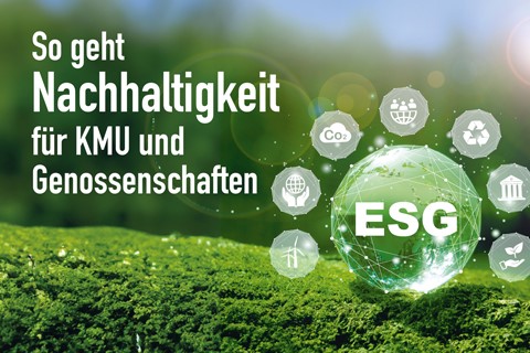 Die Nachhaltigkeits-Guides für KMU und Genossenschaften
